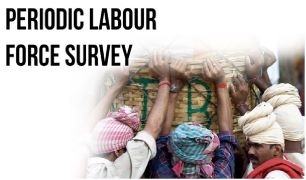 Periodic Labour Force Survey (PLFS): October–December 2025 Quarterly Bulletin